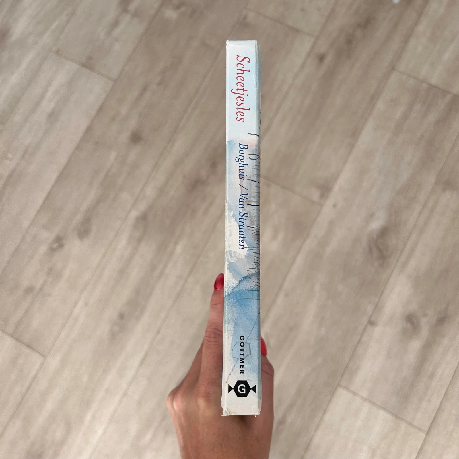 Scheetjesles en andere voorleesverhalen over De Bende van Vier – Sunna Borghuis | Hardcover – photo 2